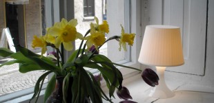 Ausstellung im Projektraum