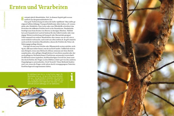 Seite 20, 21 - Mundraub Ernte