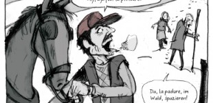 RO_Satz_aktuell.indd