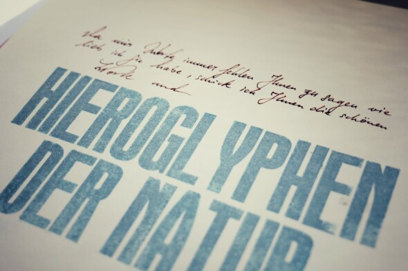 TYPO exp 3